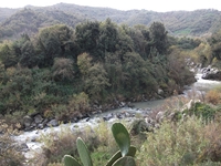 cantara gurne23122011 118